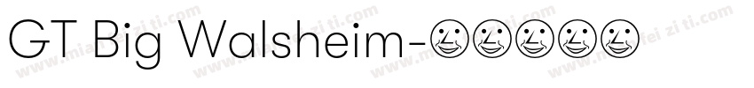 GT Big Walsheim字体转换